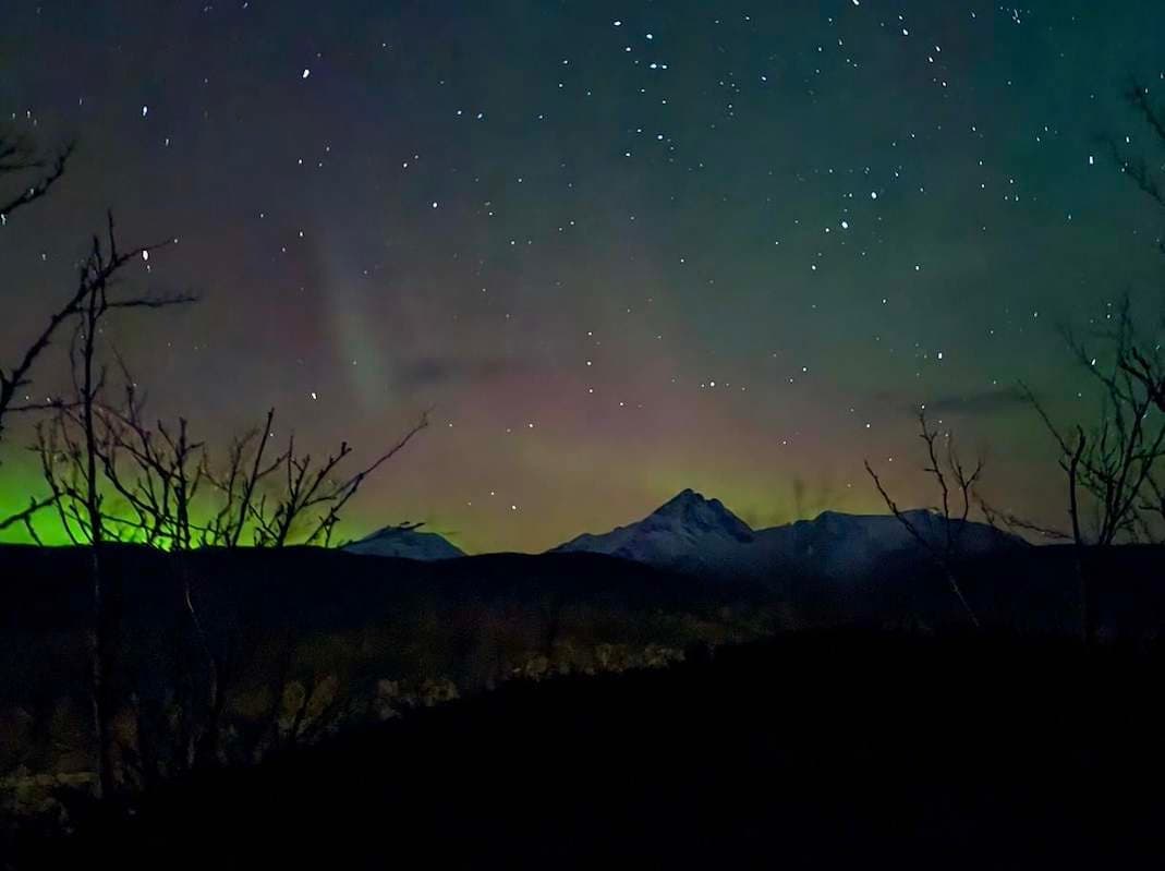 Green northern lights low over snow-capped mountains, bare branches in the foreground